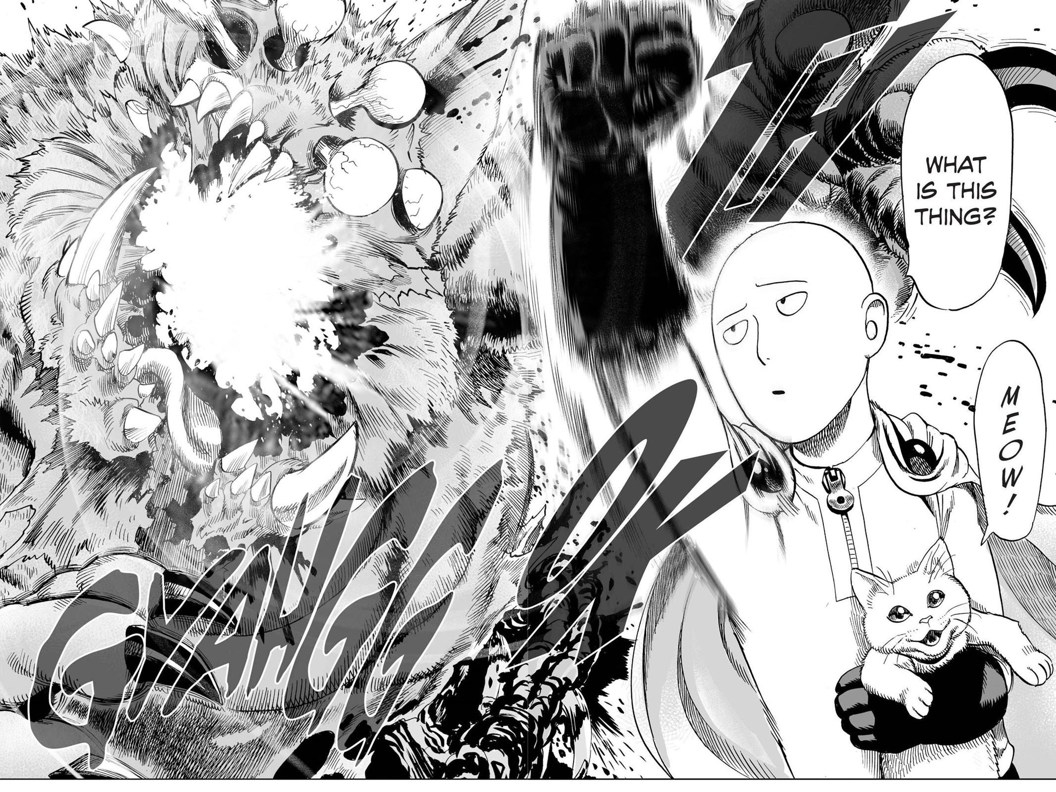 One-Punch Man Chapter 40.5 29